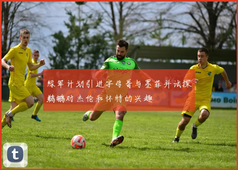绿军计划引进字母哥与墨菲并试探鹈鹕对杰伦和怀特的兴趣